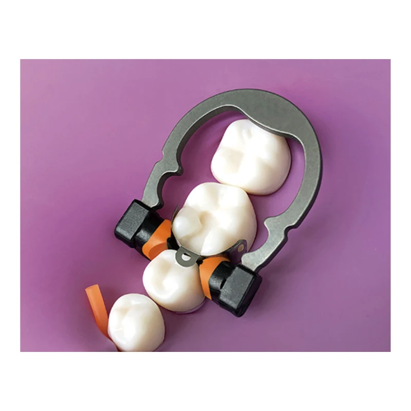 Hot selling orange collet medium size Niti Elastic Clamp Ring dental matrix clamp clip