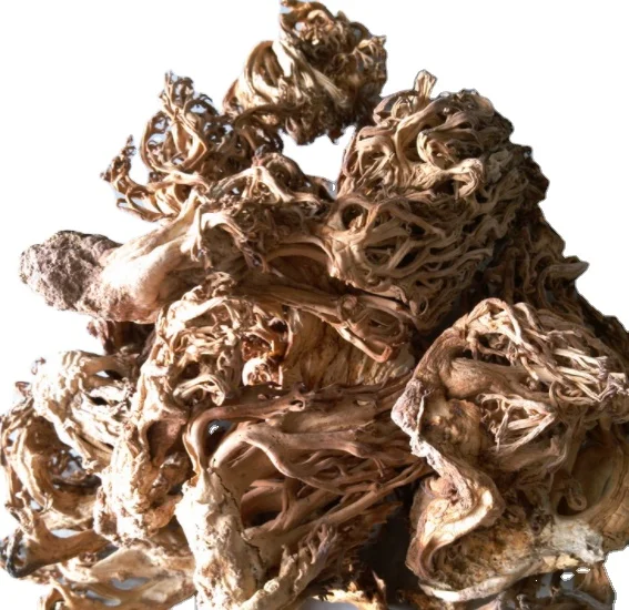 Съедобные грибы сырые сушеные Ramaria botrytoides