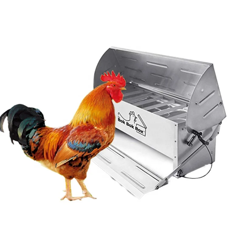 Customized Chicken Farm Poultry Equipment Automatic Feeders Poultry Farming Chicken Feeders