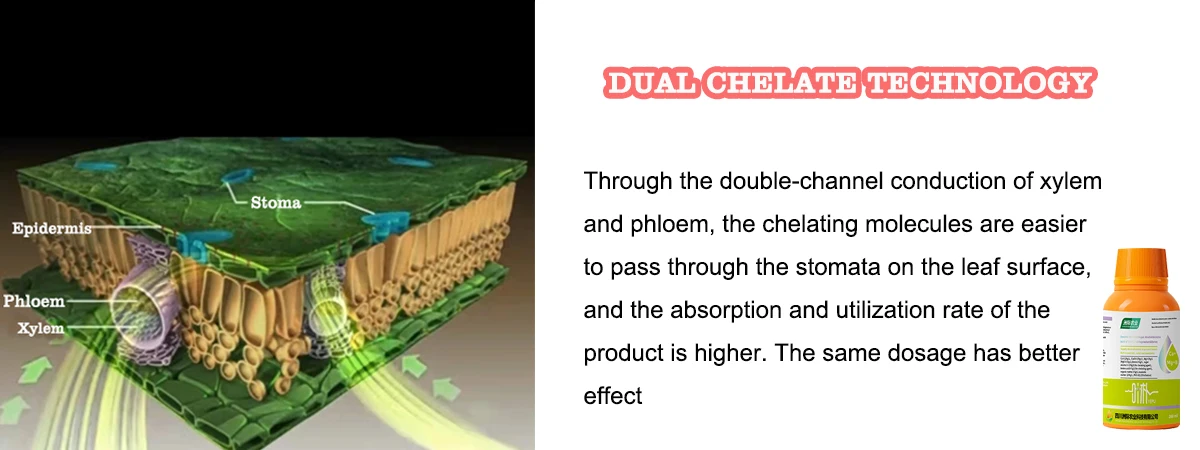 Индивидуальная концентрация, средство от блосома, концевые гнильные микроэлементы, кальций, лиственное жидкое удобрение для томатов, арбуза, дыни