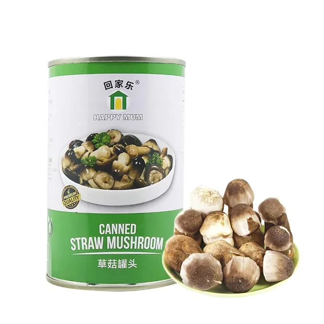 JOLION OEM Brand Healthy Cheap price Fresh Vegetables best canned straw mushroom manufacturers
