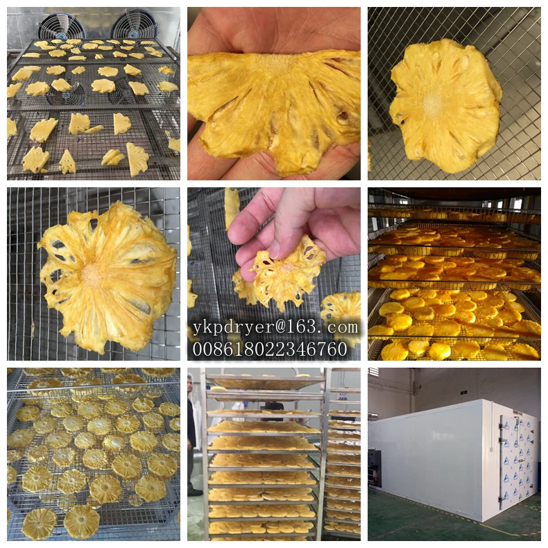 factory direct sale avocado drying machine drying all kinds of food fruit drying oven