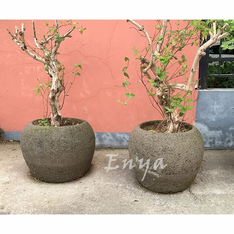 CMT-010 with tree_logo.jpg