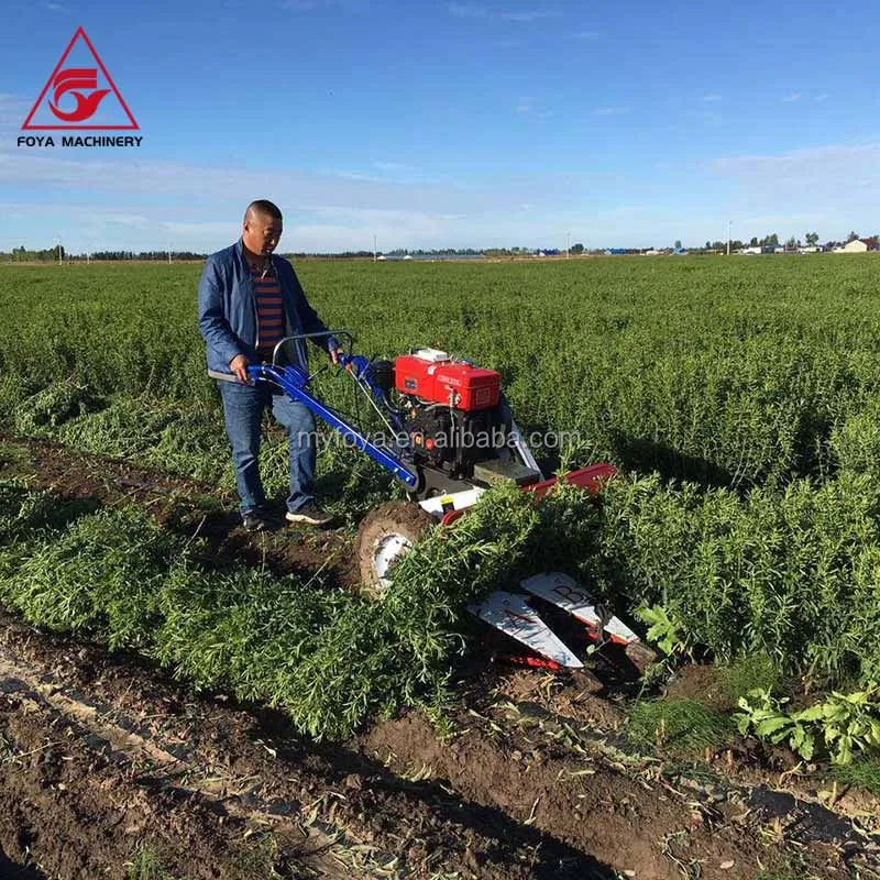 Rice Cotton Lavender Rapeseed Harvesting Machine for Farm