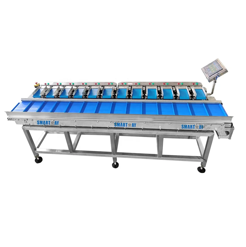 High waterproof IP65 semi 12 head linear combination belt weigher for vegetable asparagus packing machine
