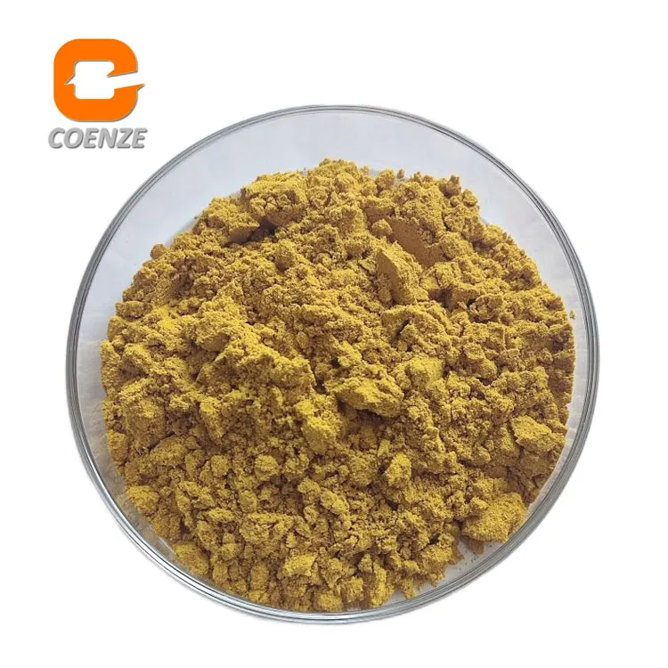 Baicalin 80% 85% 90% Scutellaria Baicalensis Extract Powder Baicalin