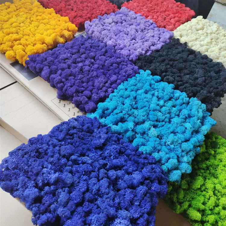 Wholesale Stabilize Reindeer Moss Wall Art Moss Panel Decorations Preserved Moss