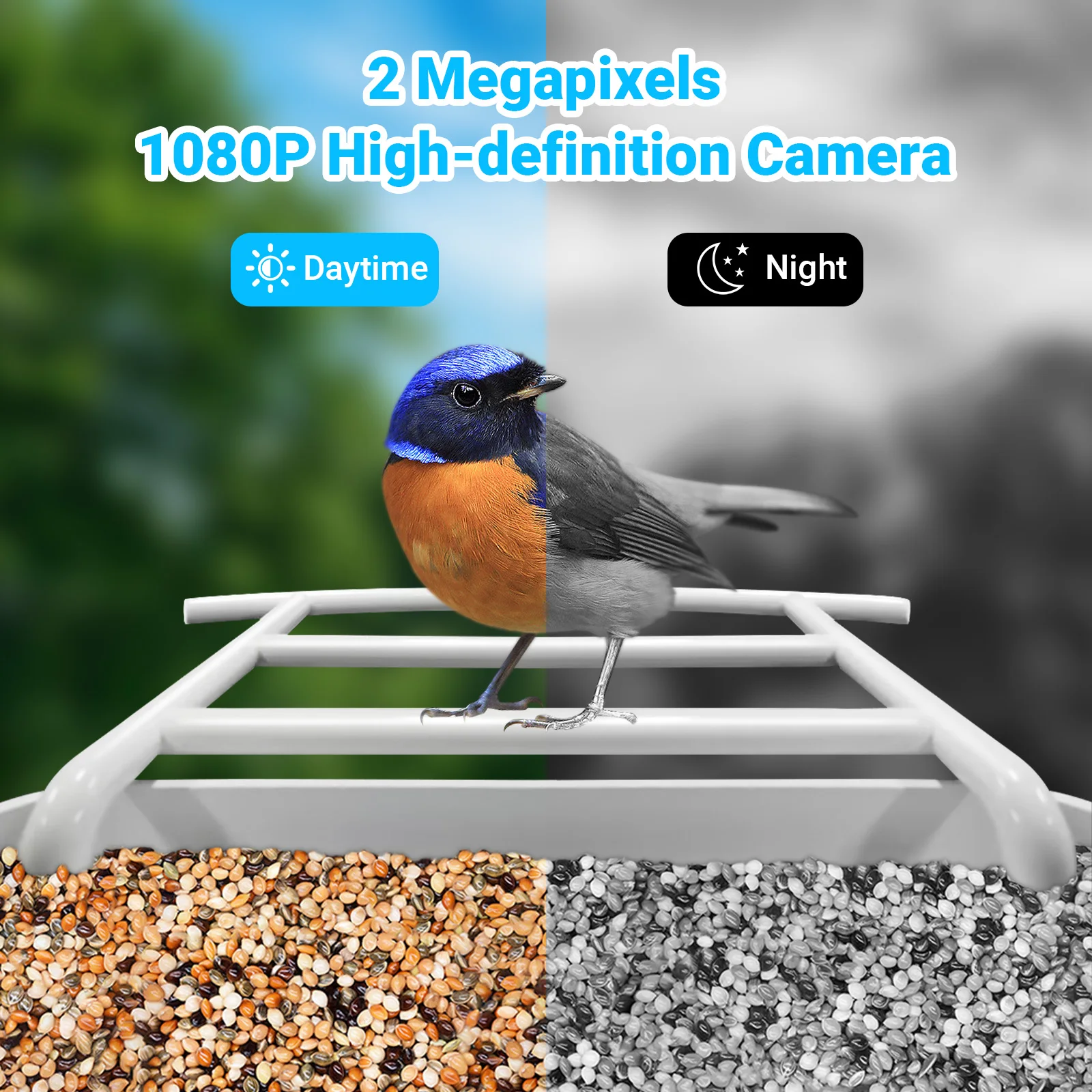 AI Recognize Bird Species Outdoor Wildlife Hummingbird Wifi Camera Capture Pictures Photos Video Smart Bird Feeder for Garden