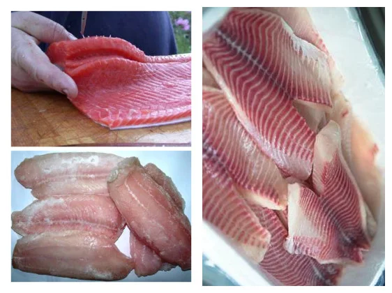 automatic fish fillet equipment fish fillet machine cutter for tilapia, salmon, catfish, codfish, trout, carp