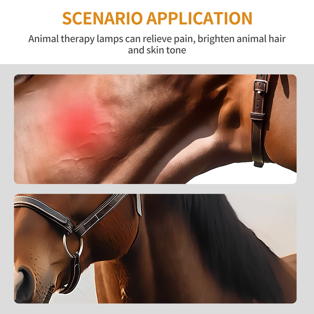 Solarium Horses Lamp Horse Stall Red Light Therapy Equine Solarium