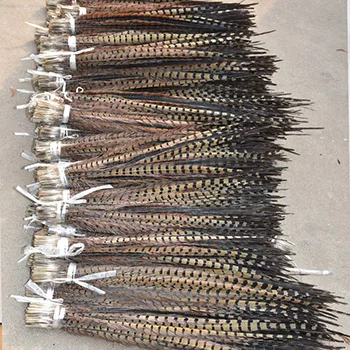 Cheap sale high quality natural and colorful long bulk carnival 60-65 cm Natural Ringneck Pheasant Tail Feather
