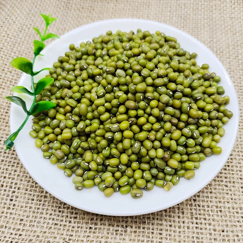 Wholesale Small Size 2.6mm-3.5mm High Quality Green Vigna Mung Beans