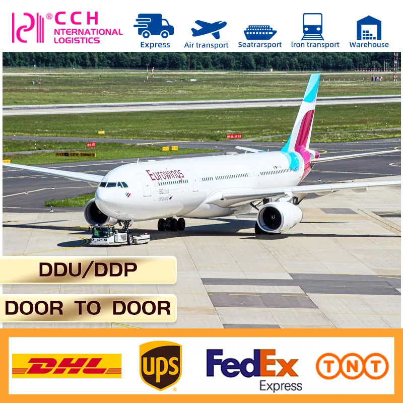 International Freight Forwarder DDP Ocean Freight rates and shipping from China to Europe