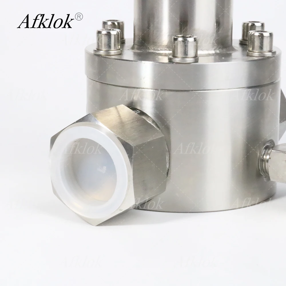 RW74 Stainless Steel Back Pressure Valve for Hydrogen