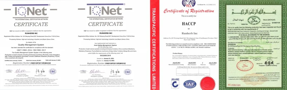 Сертифицированный церемониальный сорт органический 100% чистый порошок зеленого чая Матча оптом зеленый чай