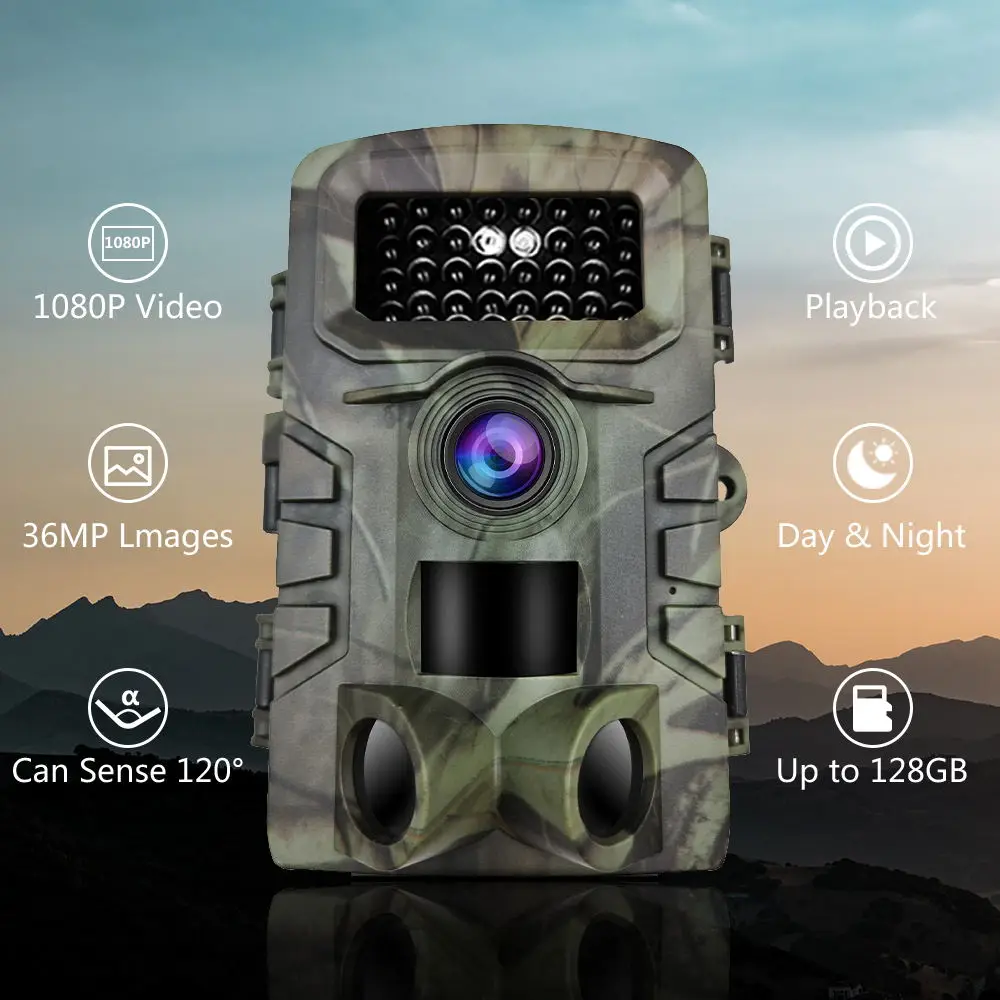 HunterCam PR700 2.7K insect animal observation camera with night vision animal detection camera spy OEM  hunting trail camera