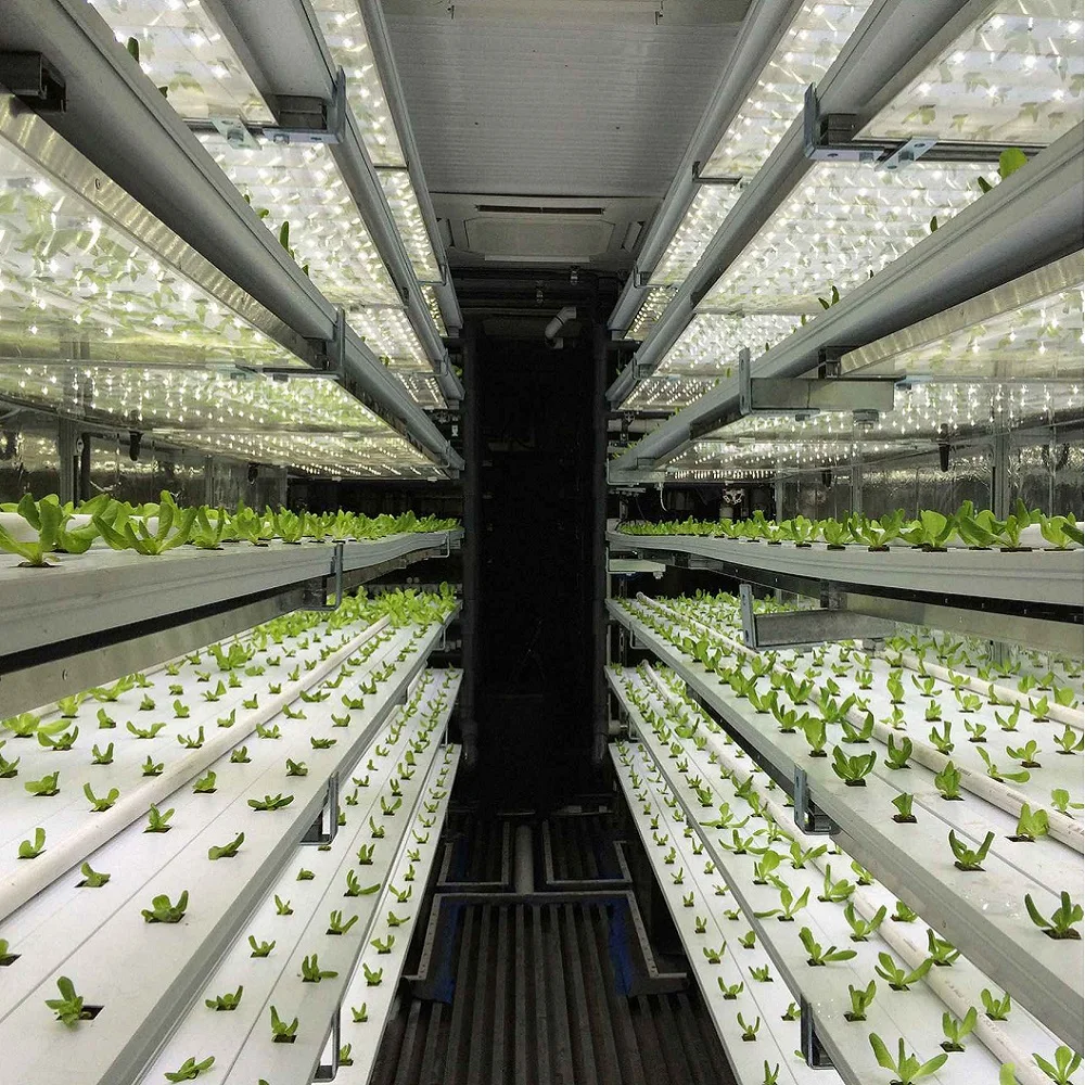 BOYUN hydroponic container system container growing