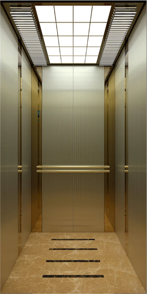 Customized 630KG 800kg 1000kg Passenger Elevator Residential Lift Commercial Building Elevator Ascenseur Pour Personnes
