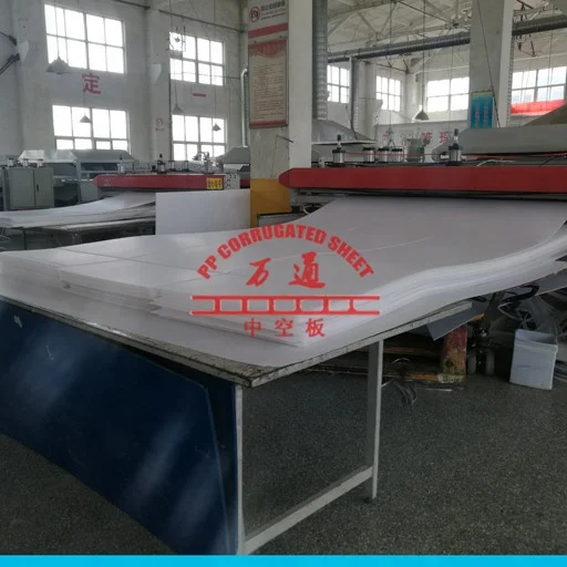 Transparent coroplast corrugated plastic sheet for templating