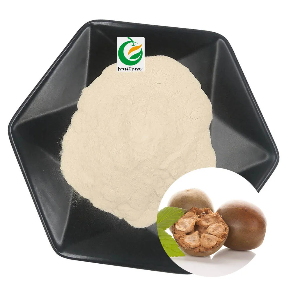 Siraitia Grosvenorii Monk Fruit Sweetener Mogroside V 25%-50% Luo Han Guo Extract Powder Monk Fruit Extract