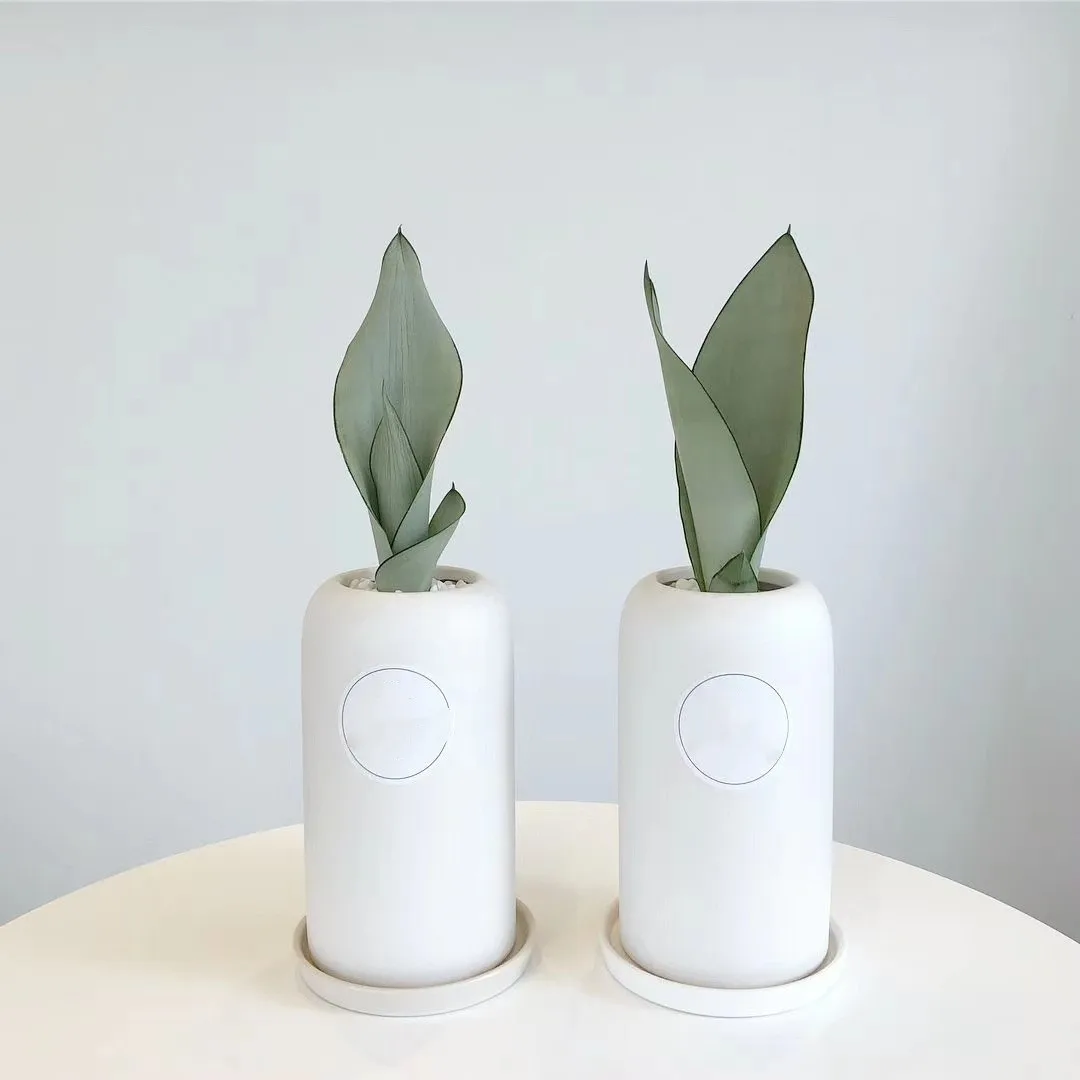 Nordic Ins Style Cheap Ceramic Flower Pots Indoor Matte Long Flowerpot