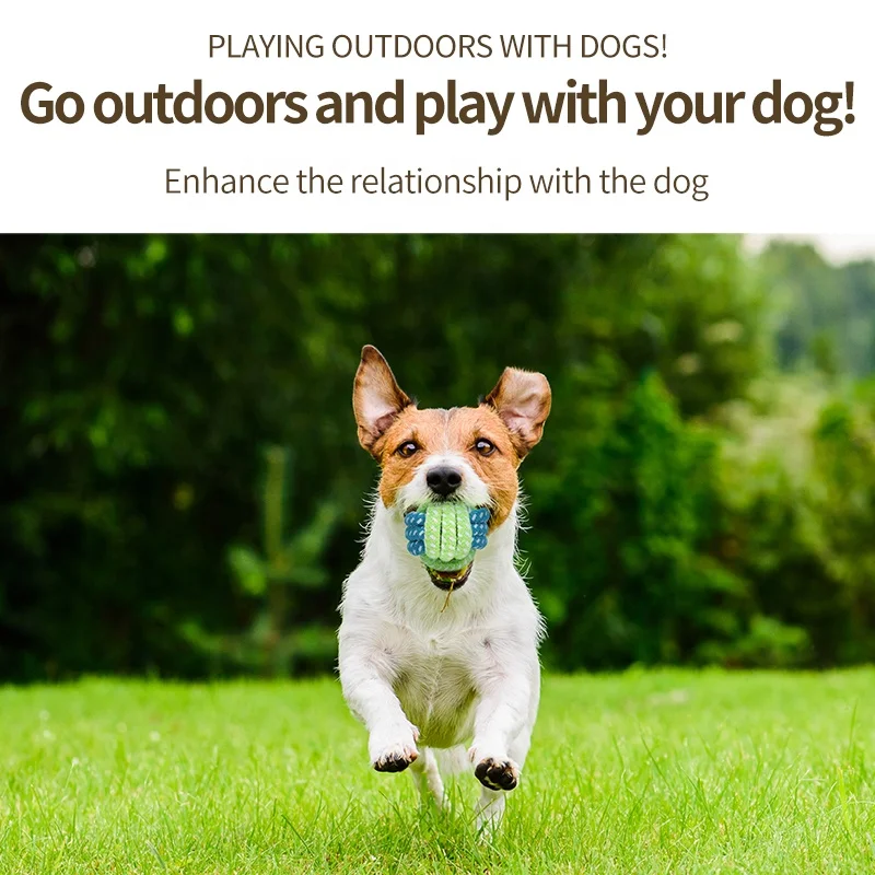 Factory Wholesale Custom Logo Cotton Rope Interactive Pet Bite Toy Dog Chew Toy