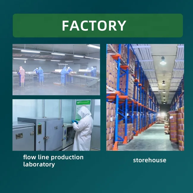 Whole Frozen IQF Sweet Strawberry Fruit