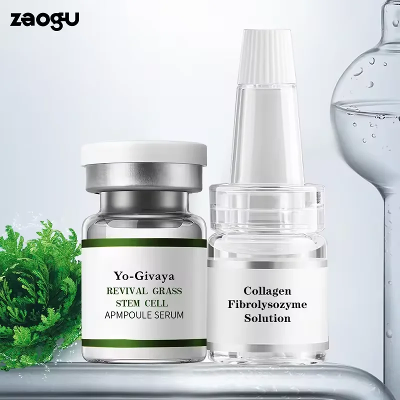 Plant Extract Whitening Freckle Removal Facial Ampoule Serum Hyaluronic Acid Niacinamide Natural Liquid Ampule Skin Care Serum
