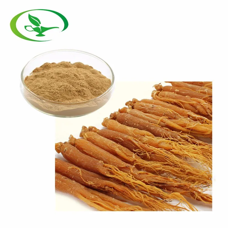 Factory Supply High Quality Ginseng Root Extract Panax Ginseng Extract Ginsenosides Powder