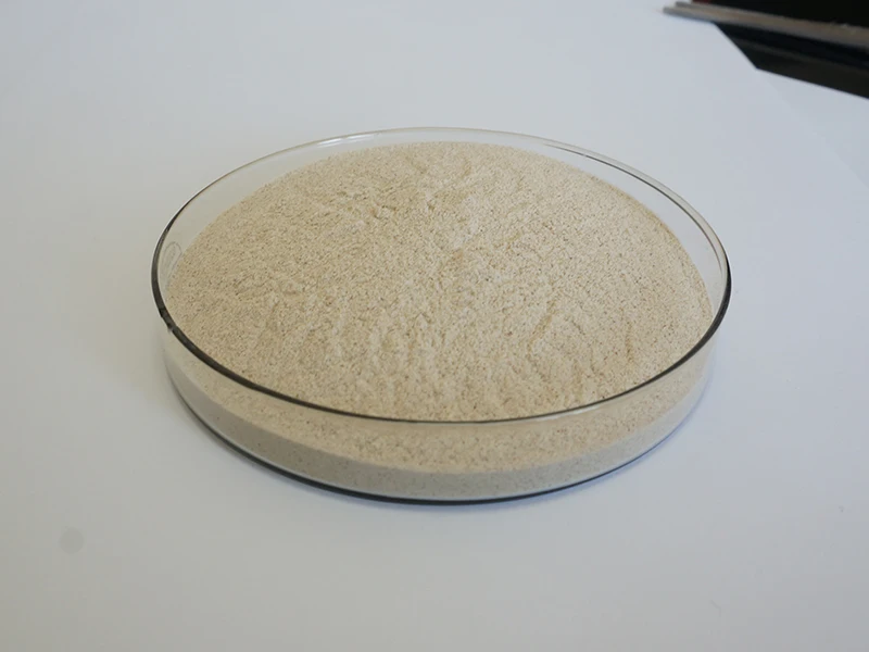 AUVO Neutral Protease Serrapeptase Enzyme Serrapeptase Powder