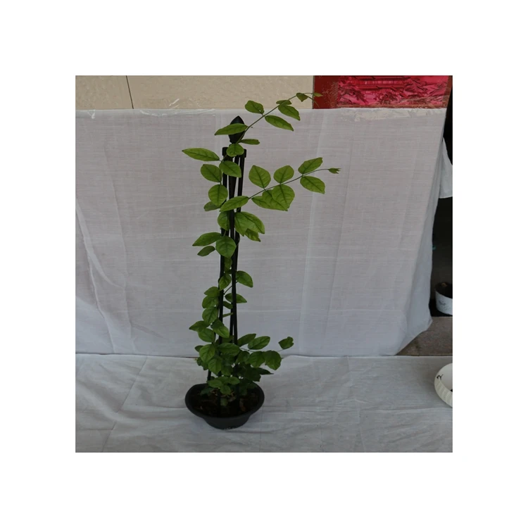 Original Factory Garden Sculpture Flower Pot Decorate Obelisk