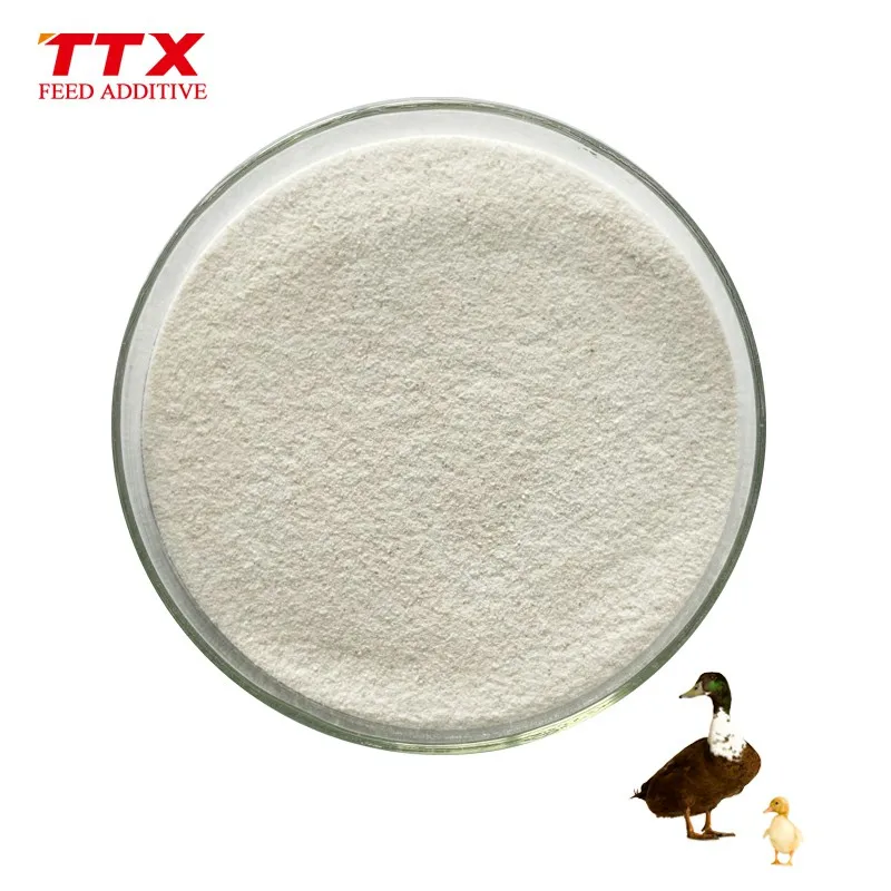 Broiler chicken feed additives galactosidase enzyme
