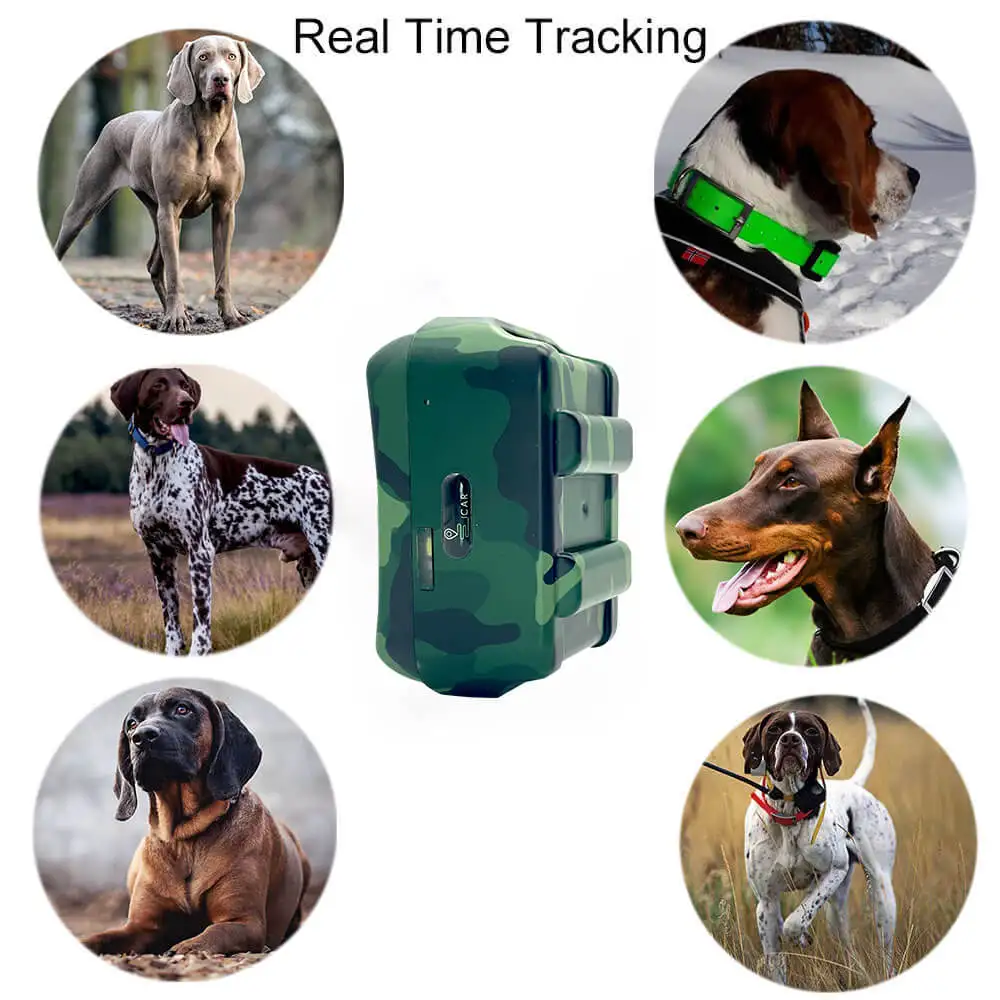 real time tracking.jpg