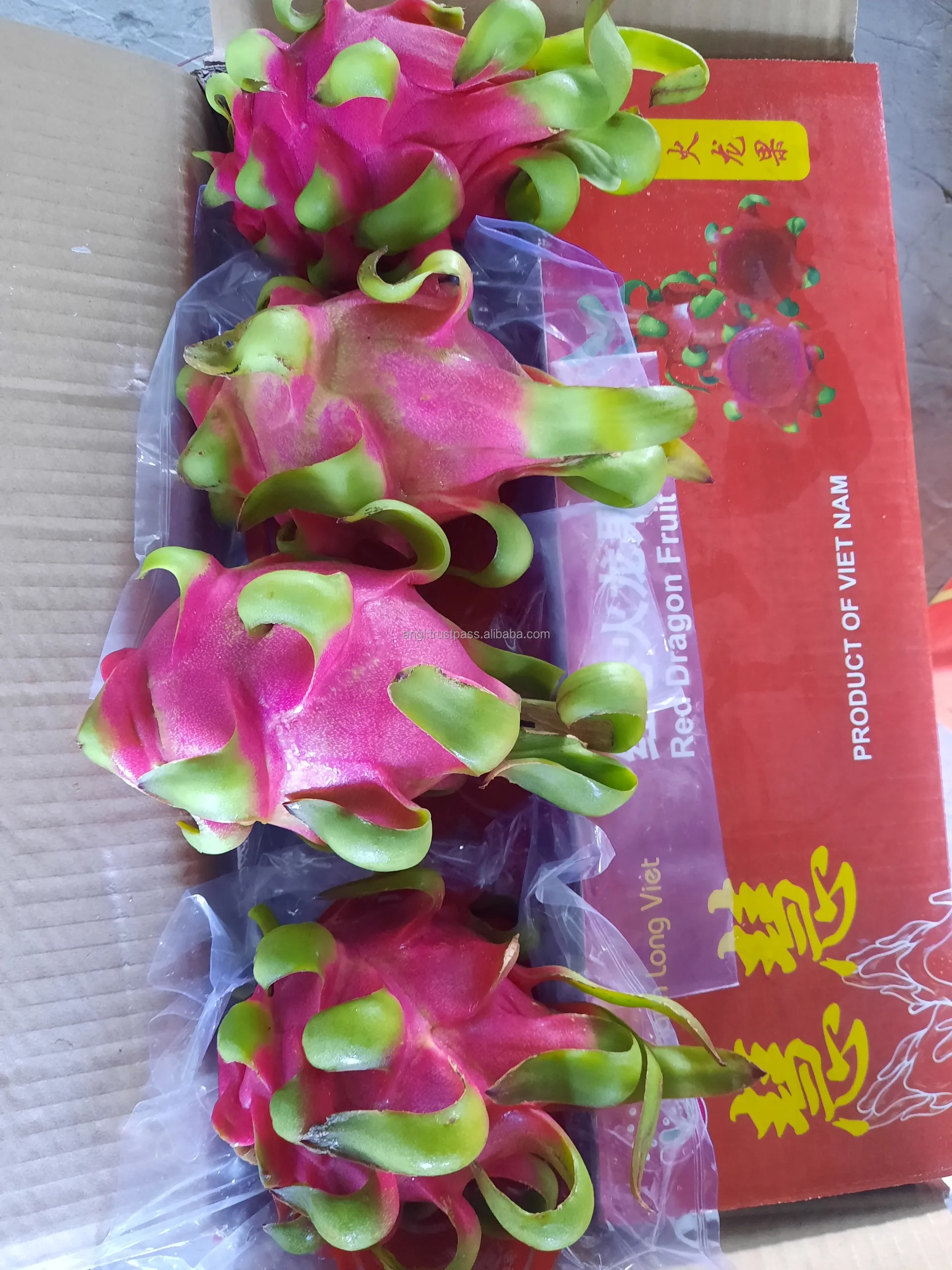 rad dragon fruit.jpg