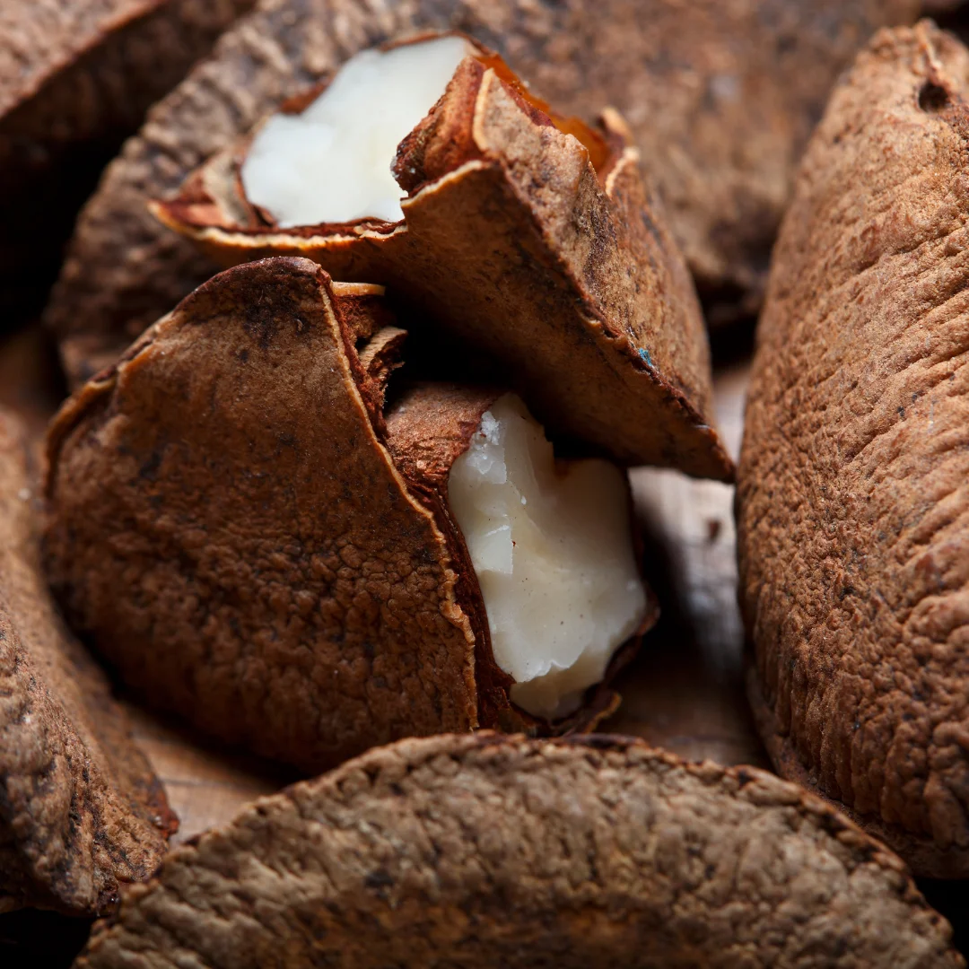 High Nutritional Brazilian Hair Oil Natural Skin Care Product Raw Ingredient Brazil Nut Oil