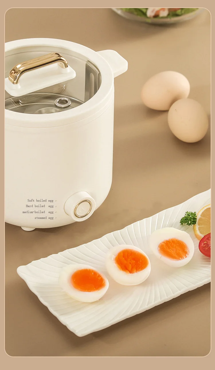 Electric Steamer Egg Cooker Automatic Mini Egg Cooker Plastic 6 Rapid Egg Boiler