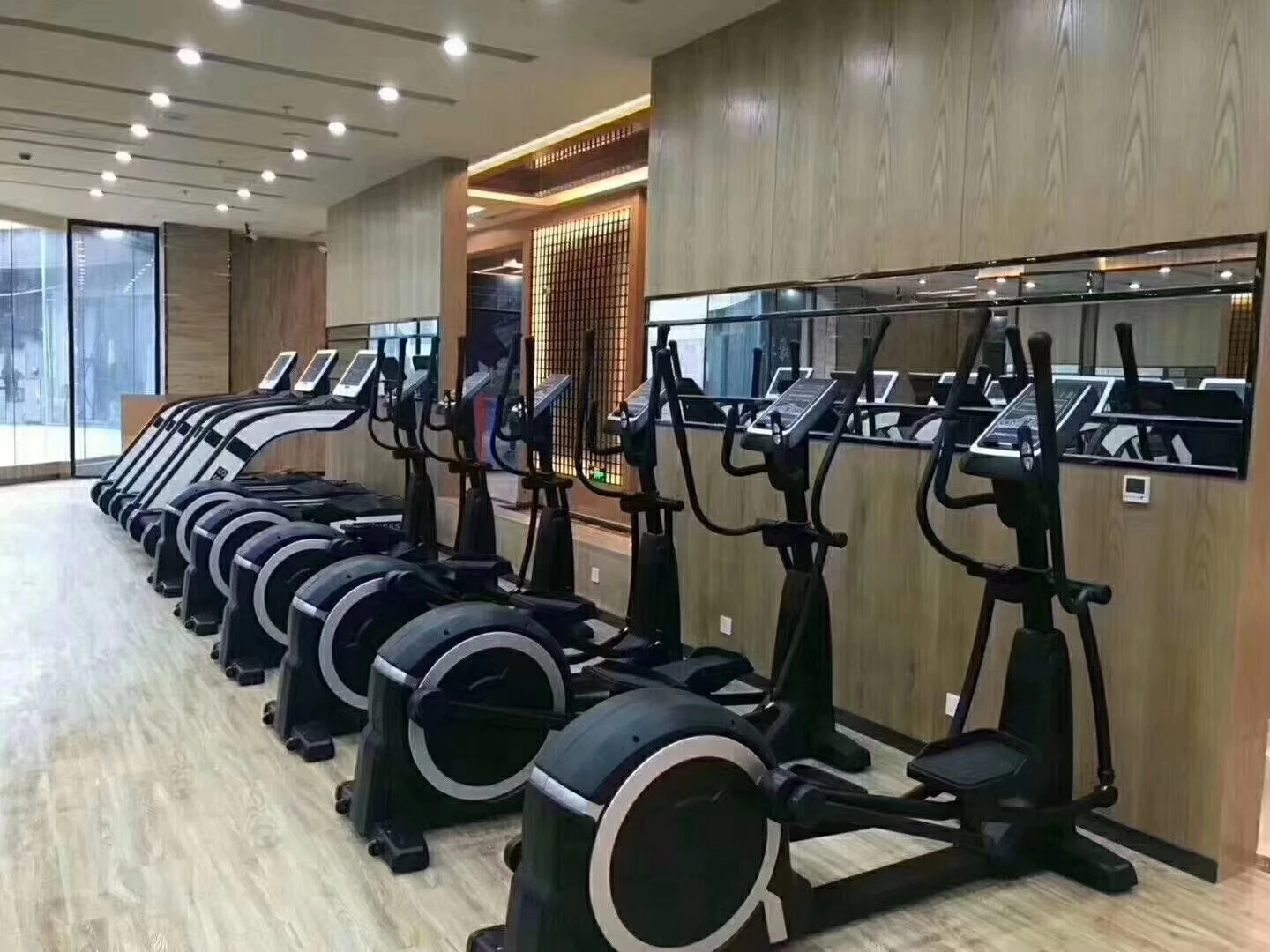 Commercial Gym Treadmills Elliptical Machine Stepper Aerobic Fitness Equipment