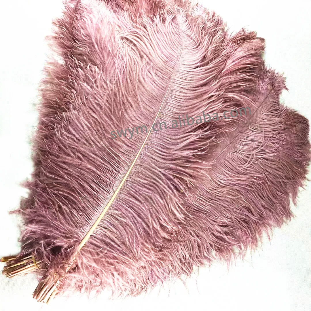 Wholesale Price Popular Light Pink Ostrich Plumes Feathers for Wedding Party Decoration