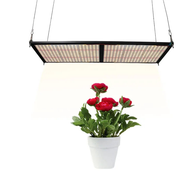  Fogrooo Meijiu 240W Qb288 лидер продаж 3500K Diy Светодиодные промышленные огни коммерческий микс красный Ir нм