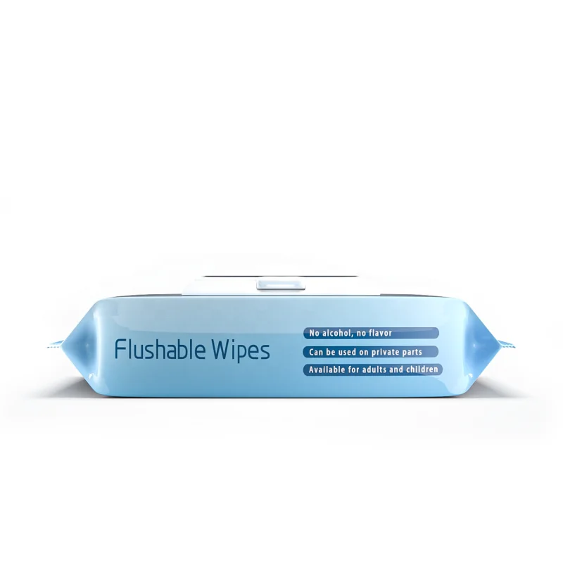 Professional Manufacturer 80pcs Antibacterial Wet Toilet Paper Wholesale