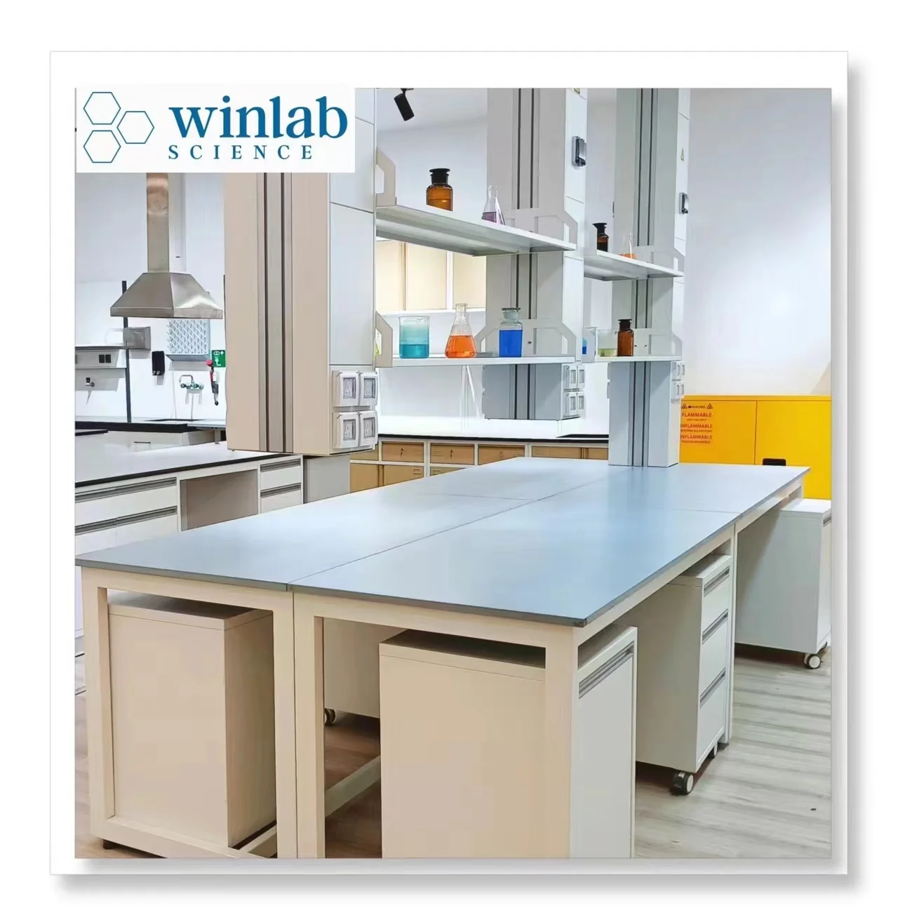 Student Chemical Physical Science School Laboratory Workbench Modern Chemistry Laboratory Equipment School Science Lab Furniture