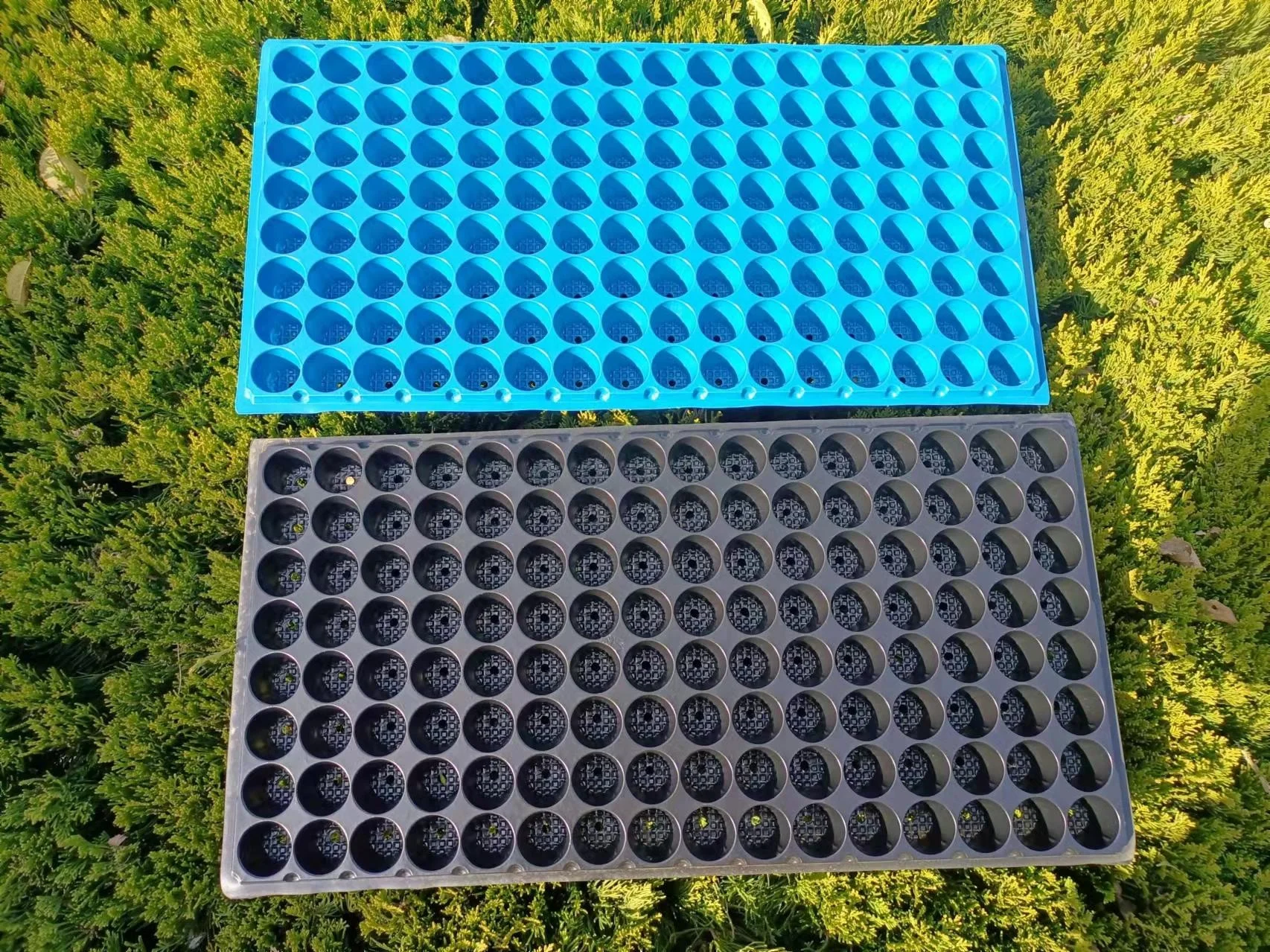 Seed Starter Trays 72 Cells Seedling Trays Kit with 1080 Cells Plant Nursery Pots Plastic Plant Grow Plug Trays Mini Propagator