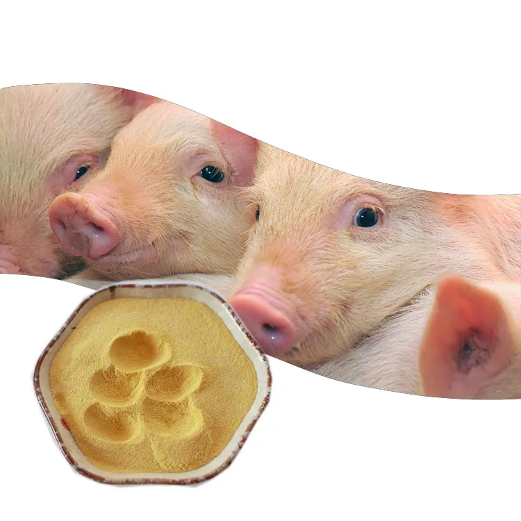 Factory Hot Sale The Beneficial Probiotics Glucose Oxidase For Poultry and Livestock