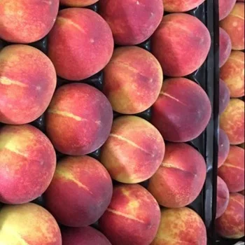 
High-quality wholesale natural BIO organic delicious fresh greek peaches 
