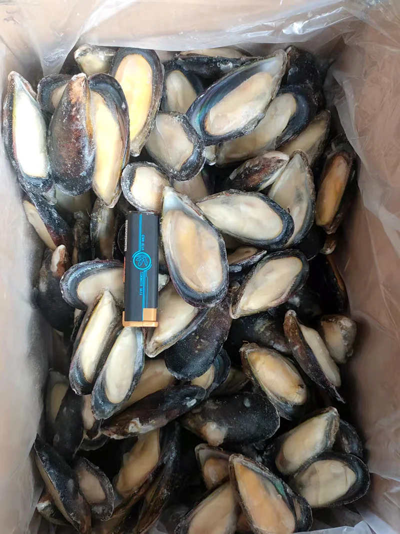 Frozen Half Shell Mussel