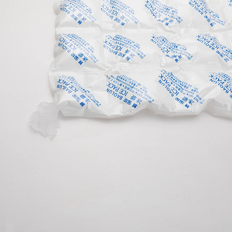 BSG 290*195mm 12pcs in one  Ice Packs For Injuries Disposable Bulk Dry Ice Pack Flexible Ice Pack For Lunch Box