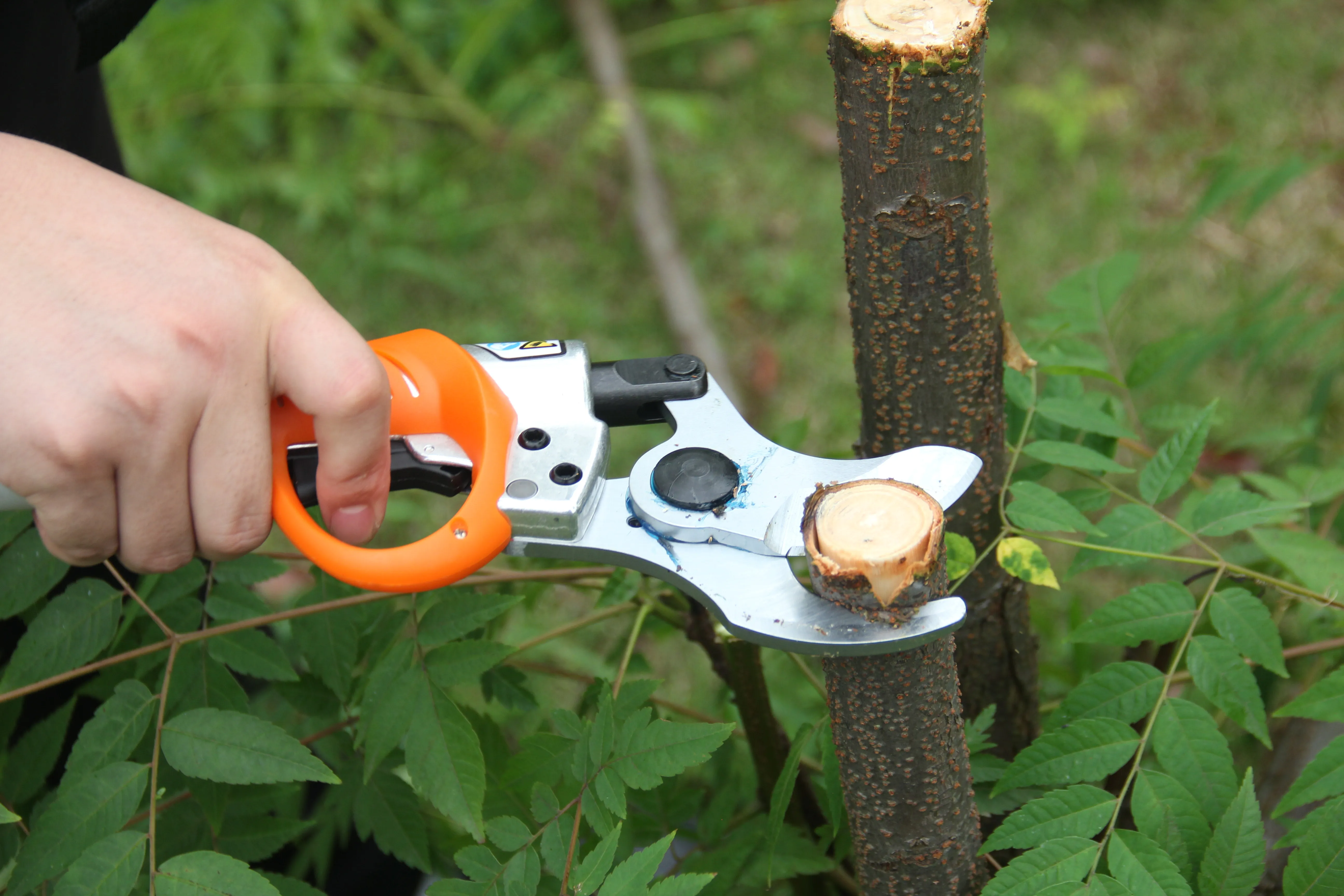 
High Quality Luxury 45MM Lithium battery Electric Pruning Shears 