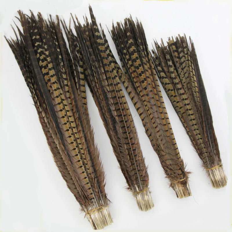 Factory Supplier Natural Pheasant Feathers Ringneck Pheasant Feathers