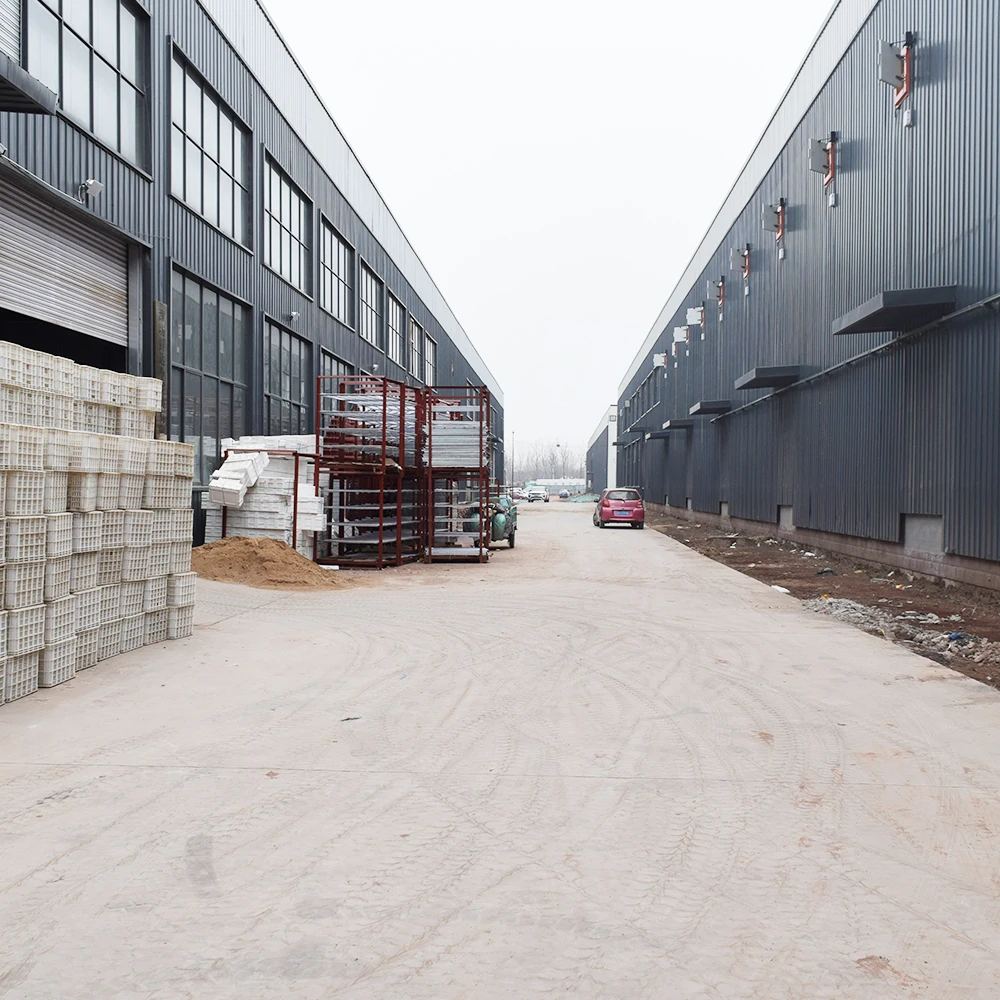 
2021 Pure Natural Vegetable Long Green Onion Health Food 