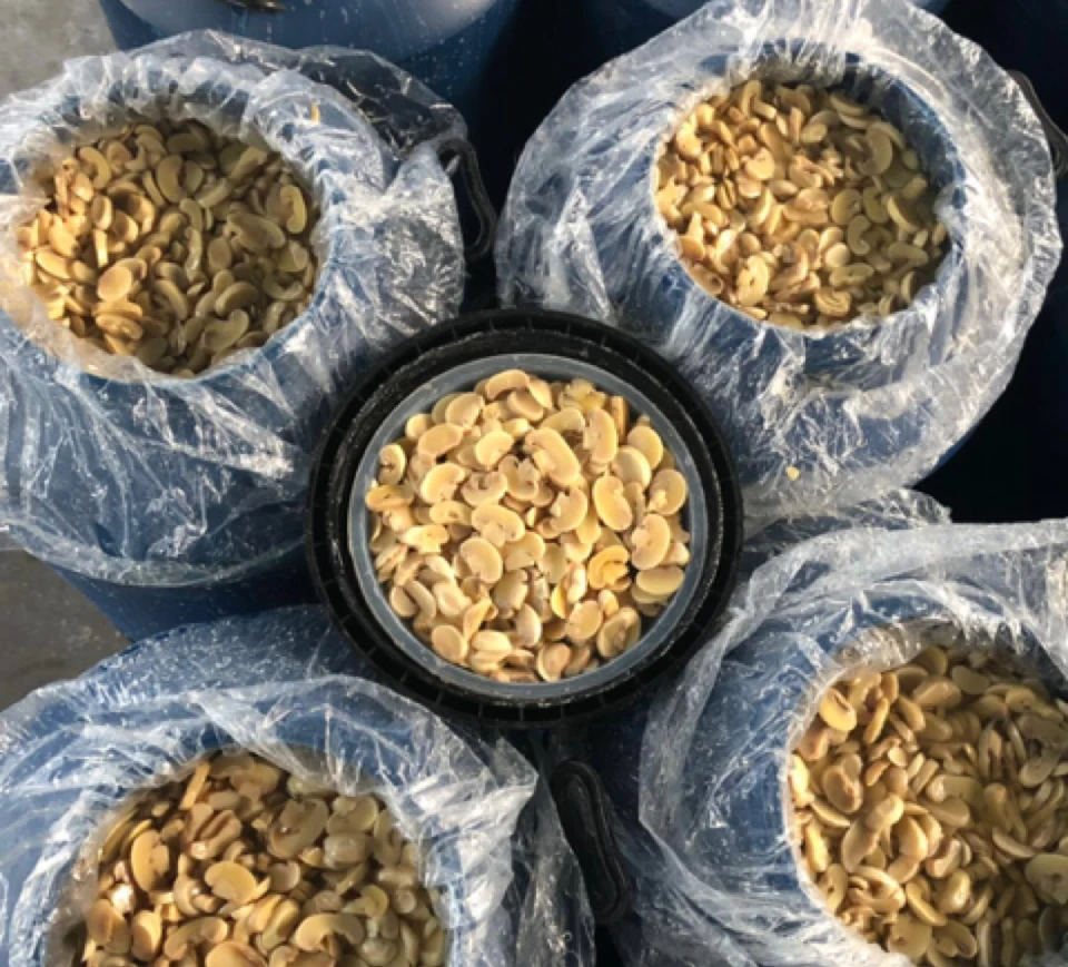 Mushroom whole and slices in plastic drum